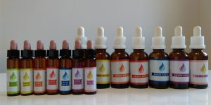 IZOBRAŽEVANJE ZA BACHOVE CVETNE ESENCE