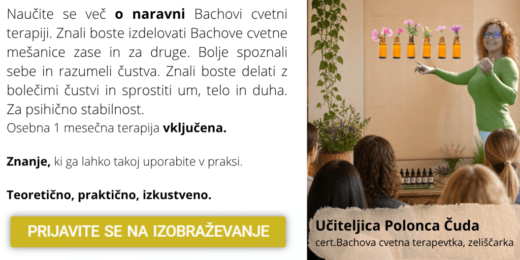 izobraževanje bachova cvetna terapija