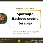 Polonca Čuda Bachove kapljice spoznajte bachovo cvetno terapijo izobraževanje