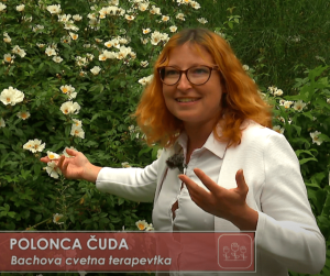 Polonca čuda rtv slo 1 oddaja na vrtu-min