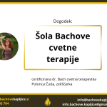 šola Bachove cvetne terapije