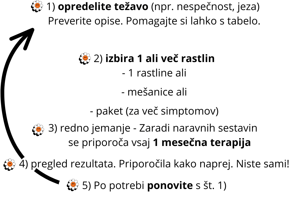 Bachove kapljice - kako izbrati-min