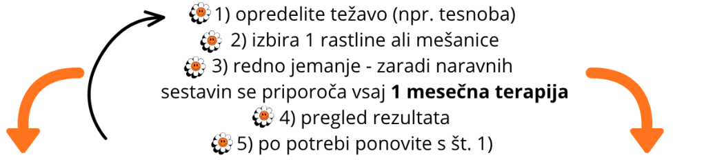 postopek izbire Bachovih kapljic - min