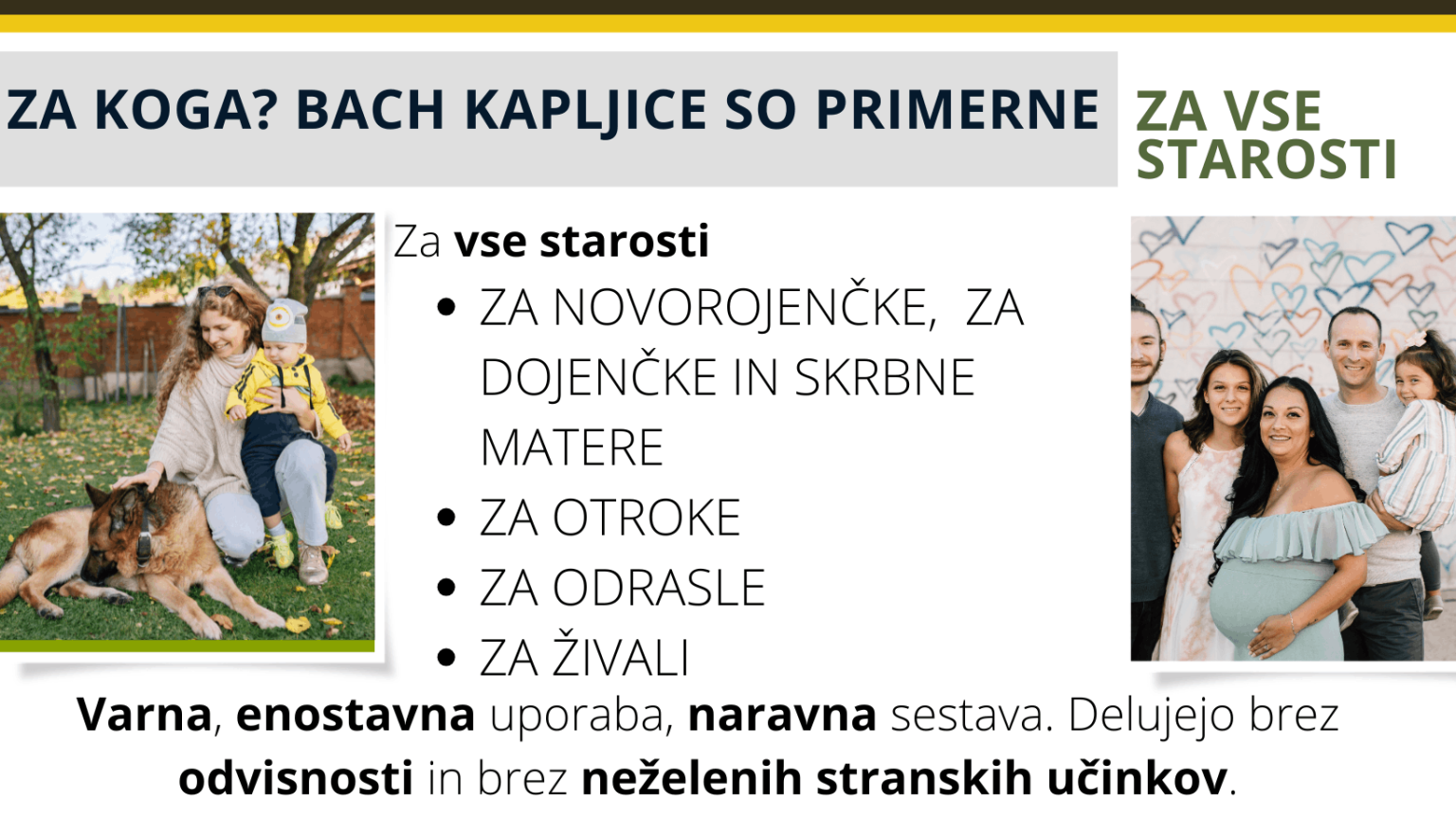 ZA KOGA SO BACHOVEKAPLJICE1 (1)
