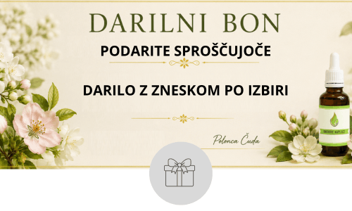 darilni bon