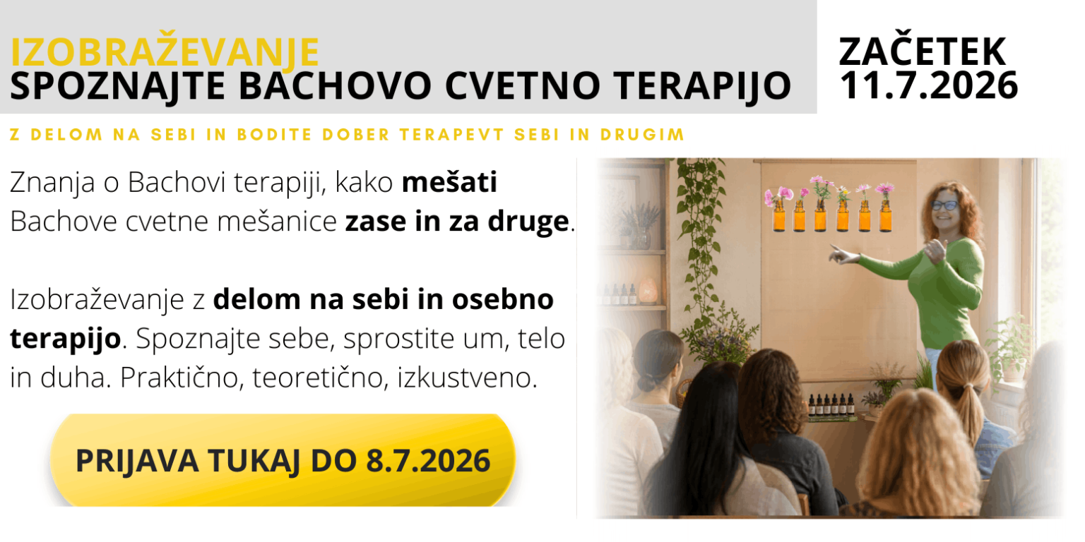 slider na 1 strani, le en link gumb (4) (1)