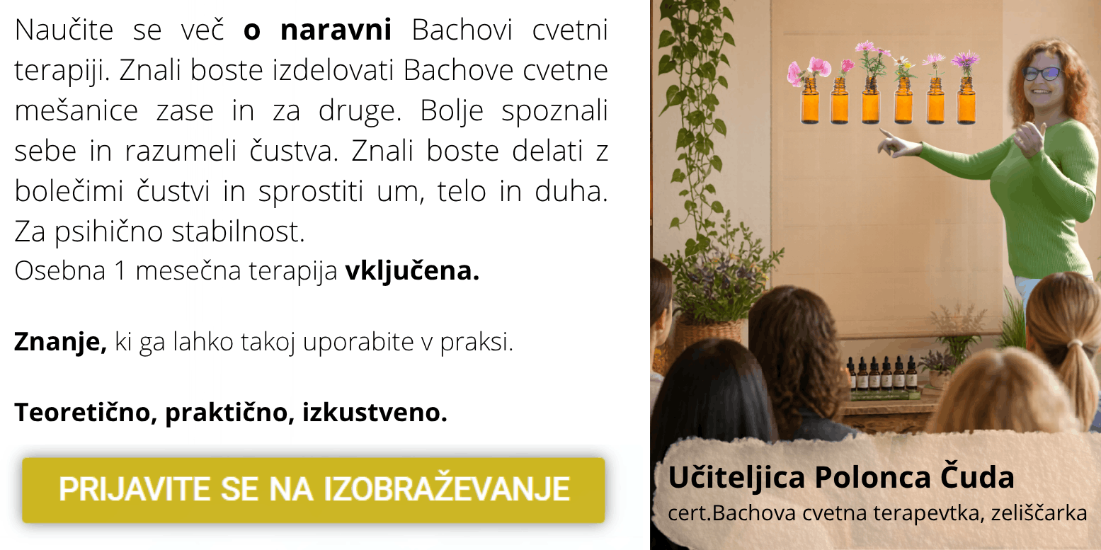 izobraževanje o Bachovi cvetni terapiji 1
