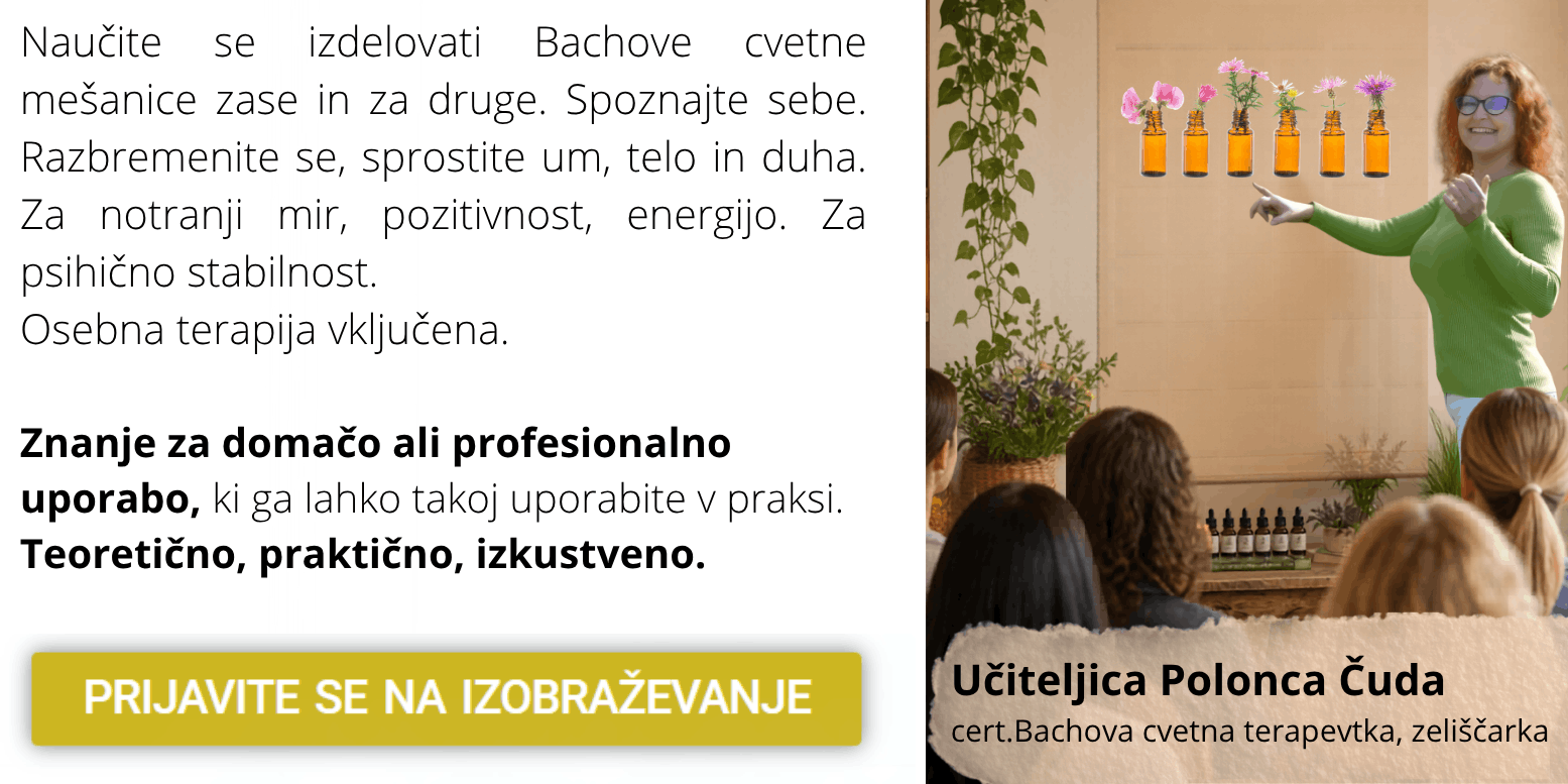 slider Izobraževanje spoznajte bachovo cvetno terapijo