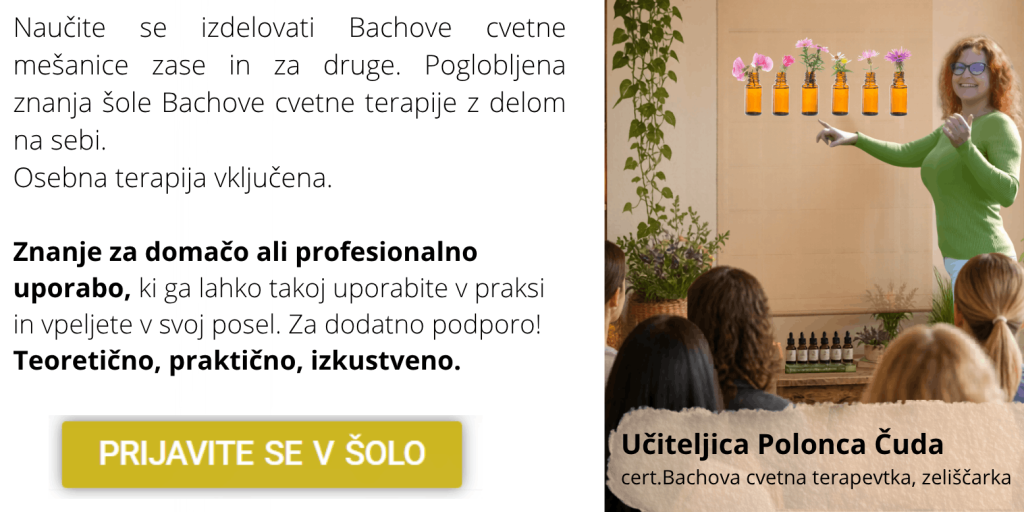 šola Bachove cvetne terapije (1)