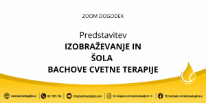 predstavitev izobraževanja in šole Bachove cvetne terapije