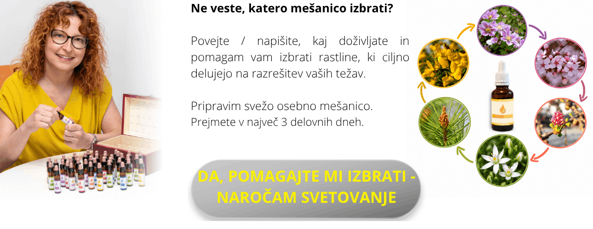 katero mesanico Bachovih kapljic izbrati (1)
